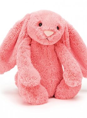 Jellycat NWT Medium Bashful Coral Bunny Plush Toy H31 X W12 CM