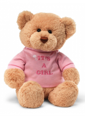 GUND NWT MESSAGE BEAR: IT'S A GIRL (PINK TSHIRT) PLUSH TOY 32CM